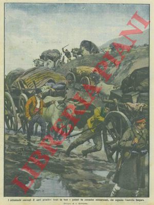 BELTRAME A. - - Pittoreschi convogli di carri primitivi tirati da buoi e guidati da contadini militarizzati seguono l'esercito bulgaro.