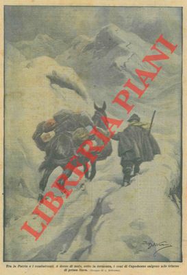 BELTRAME A. - - A dorso di mulo, sotto la tormenta, i doni di Capodanno salgono alle trincee di prima linea.