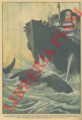 BELTRAME A. - - Scontro fra colossi: il transatlantico americano 