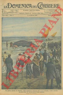 BELTRAME A. - - Sulla spiaggia di Ancona, dove si era arenato,  stato raccolto un pesce-luna che pesava pi di venti quintali.