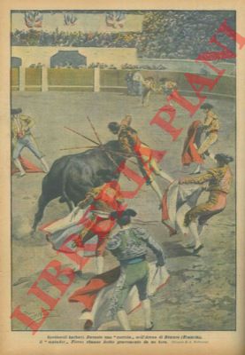 BELTRAME A. - - Durante una corrida in Francia il matador rimane ferito gravemente da un toro.