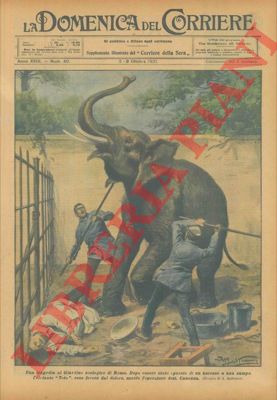 BELTRAME A. - - A Roma elefante imbizzarrito uccide il veterinario che stava cercando di curarlo.
