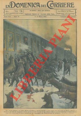 BELTRAME A. - - Folti branchi di lupi affamati assalgono un treno che procedeva a lenta velocit (Bosnia).