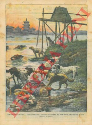 BELTRAME A. - - I cani si disputano i cadaveri galleggianti sulle rive di un fiume.