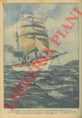 BELTRAME A. - - Una vera colonia di delfini ha accompagnato una nave scientifica inglese nell'Oceano Indiano per lungo tempo con i suoi caratteristici tuffi.
