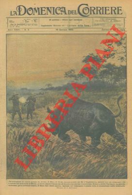 BELTRAME A. - - Un'avventura di caccia grossa in Africa: il Duca di York caricato da un enorme rinoceronte.