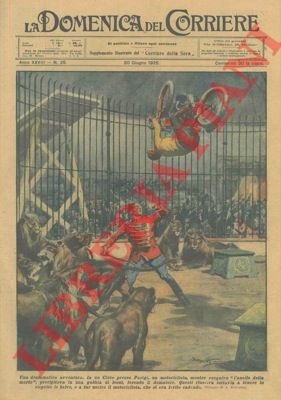 BELTRAME A. - - Durante l'esecuzione del 'giro della morte' un motociclista finiva nella gabbia dei leoni, feriva il domatore e riusciva a salvarsi.