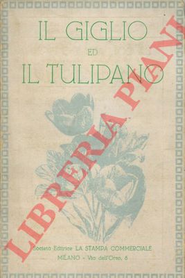 - - Il giglio ed il tulipano.