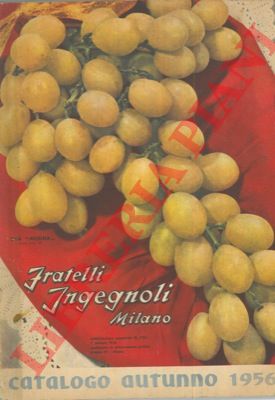 Fratelli Ingegnoli - - Catalogo autunno 1956.