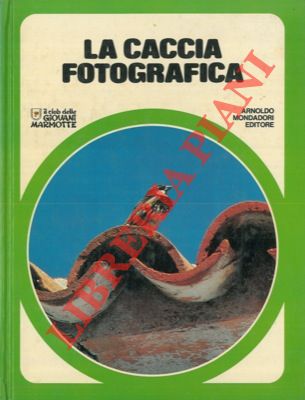 - - La caccia fotografica.