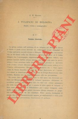 MATTEI G(iovanni) E(ttore) - - I tulipani di Bologna. Studio critico e monografico.