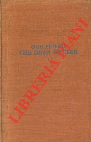 - - Our friend the Irish Setter.