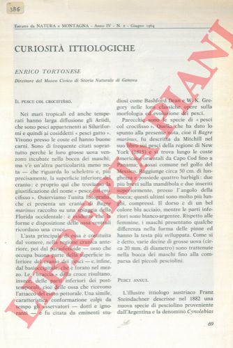 TORTONESE Enrico - - Curiosit ittiologiche.