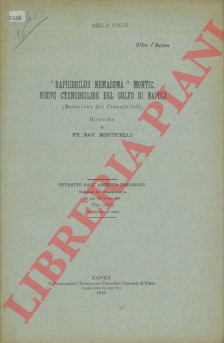 MONTICELLI F. S. - - 'Raphidrilus nemasoma' Montic. Nuovo Ctenodrilide del Golfo di Napoli (Revisione dei Ctenodrilidi) .