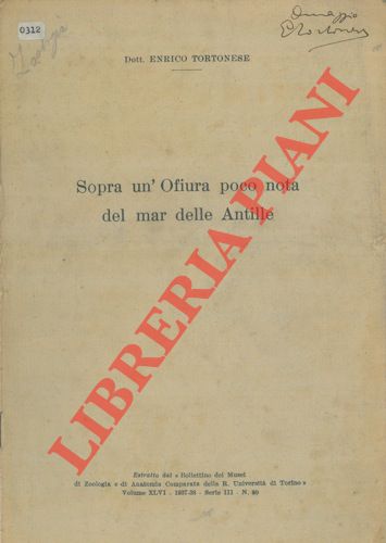 TORTONESE Enrico - - Sopra un'Ofiura poco nota del mar delle Antille.