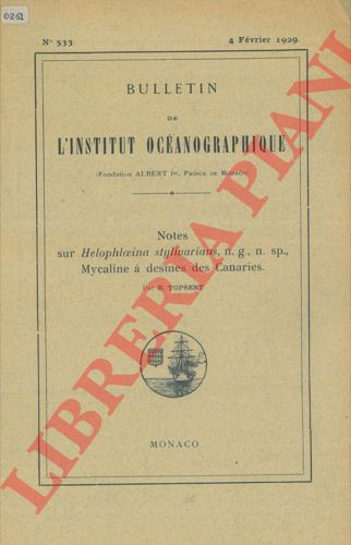 TOPSENT Emile - - Notes sur Helophloeina stylivarians, n. g. , n. sp. , Mycaline  desmes des Canaries.