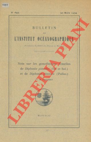 PHILBERT Maurice - - Note sur les gonothques femelles de Diophasia pinaster ( Ell. Et Sol. ) et de Diphasia pinnata (Pallas) .