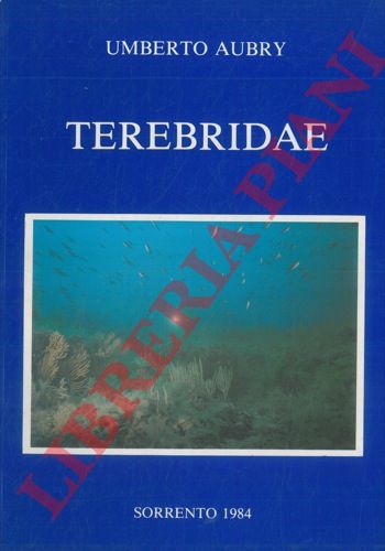 AUBRY Umberto - - Terebridae. (Mollusca: Gastropoda).