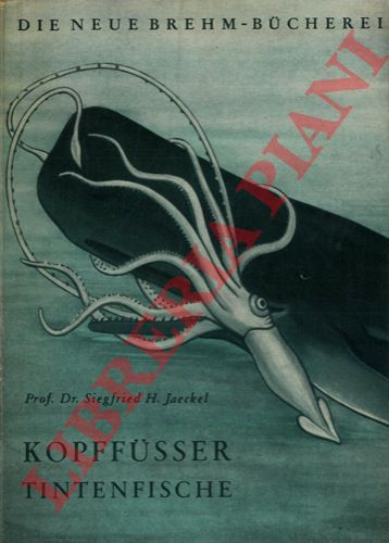 JAECKEL Siegfried H. - - Kopffusser (Tintenfische).
