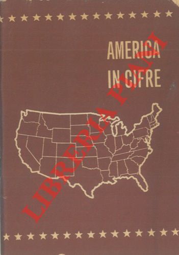  - America in cifre.