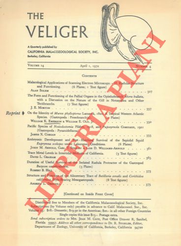 EMERSON William K. - OLD William E. Jr. - - On the identity of Murex phyllopterus Lamark, 1822, a tropical Western Atlantic Species (Gastropoda : Prosobranchia) .