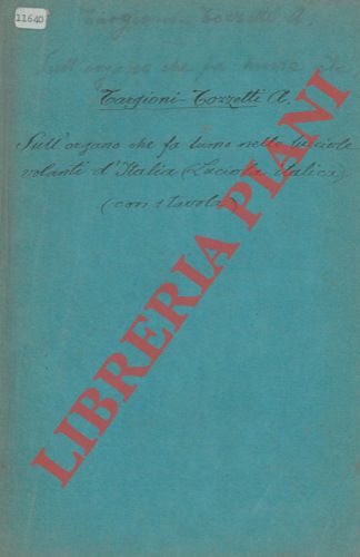 TARGIONI TOZZETTI Adolfo - - Sull'organo che fa lume nelle lucciole volanti d'Italia (Luciola italica) . Nuove osservazioni.