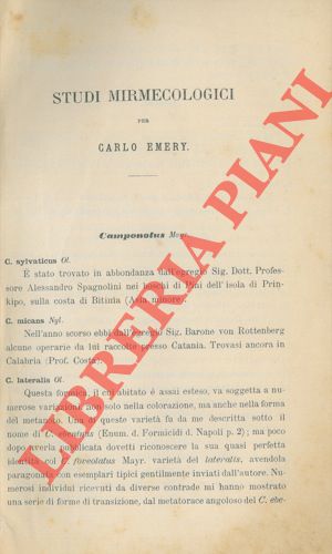 EMERY Carlo - - Studi mirmecologici.