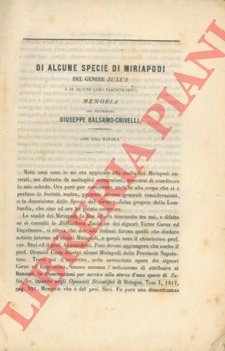 BALSAMO CRIVELLI Giuseppe - - Di alcune specie di Miriapodi del genere Julus e di alcune loro particolarit.