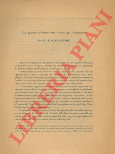GAZAGANIRE M. J. - - Des glandes salivaires dans l'ordre des Coloptres.