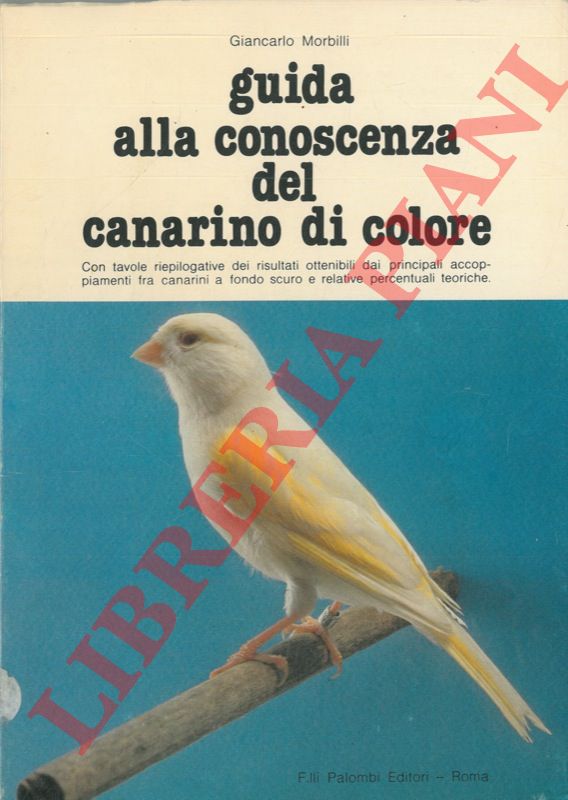 MORBILLI Giancarlo - - Guida alla conoscenza del canarino di colore.