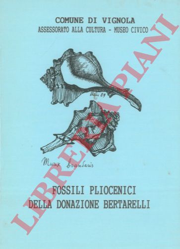 (Comune di Vignola) - - Fossili pliocenici della donazione Bertarelli.