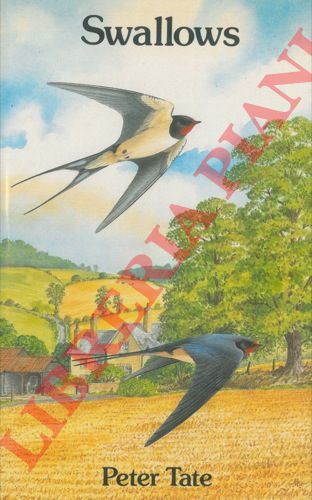 TATE Peter - - Swallows. Ill. by Alan Harris.