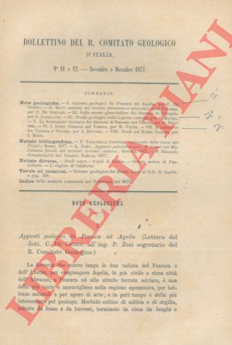 DE GIORGI C. - - Appunti geologici da Pescara ad Aquila.