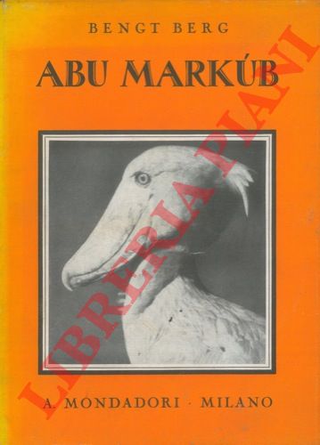 BERG Bengt - - Abu Markb. Con la macchina da presa tra elefanti e cicogne giganti.