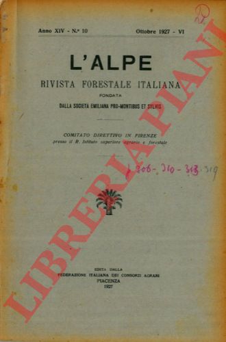 PAVARI Aldo - - Le piantagioni di Eucalipti eseguite dalle Ferrovie dello Stato in Sicilia.