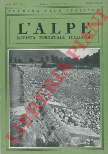 DE PHILIPPIS A. - - Su alcuni legnami brasiliani.