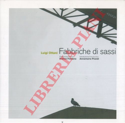 OTTANI Luigi - - Le fabbriche dei sassi.