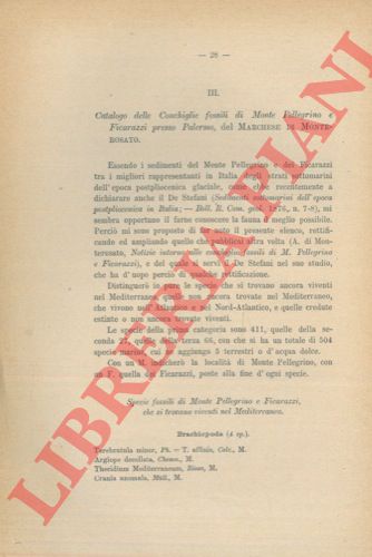 Marchese di MONTEROSATO - - Catalogo delle conchiglie fossili di Monte Pellegrino e Ficarazzi, presso Palermo.