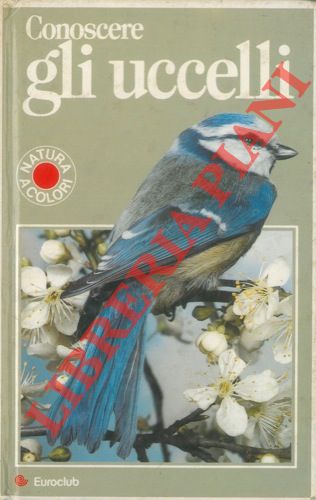 - - Conoscere gli uccelli.