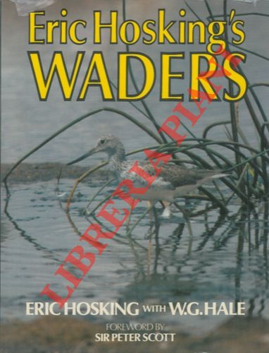 HOSKING Eric - HALE W. G. - - Waders.