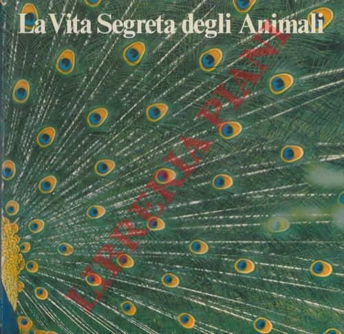 - - La Vita Segreta degli Animali.
