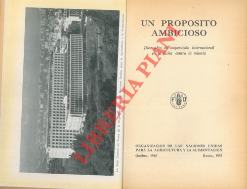 (Organizacion de las Naciones Unidas para la Agricultura y la Alimentacion) - - Un proposito ambicioso. Diez anos de cooperacion internacional en la lucha contra la miseria.