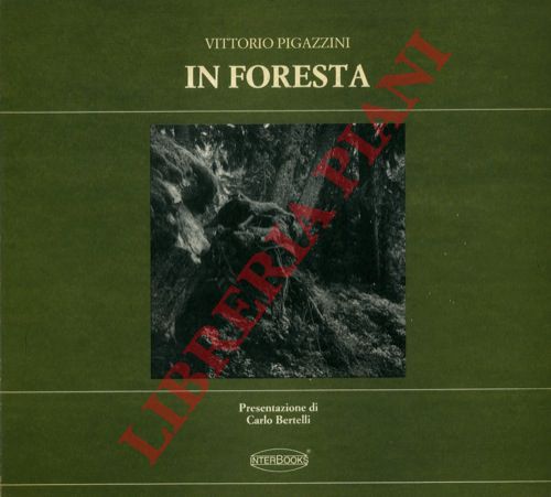 PIGAZZINI Vittorio - - In foresta.