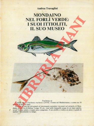 TRAVAGLINI Andrea - - Mondaino nel Forl