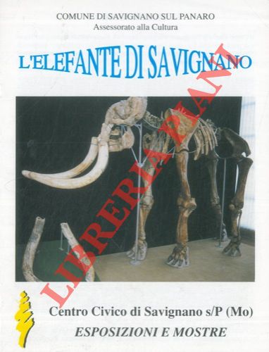 - - L'elefante di Savignano.