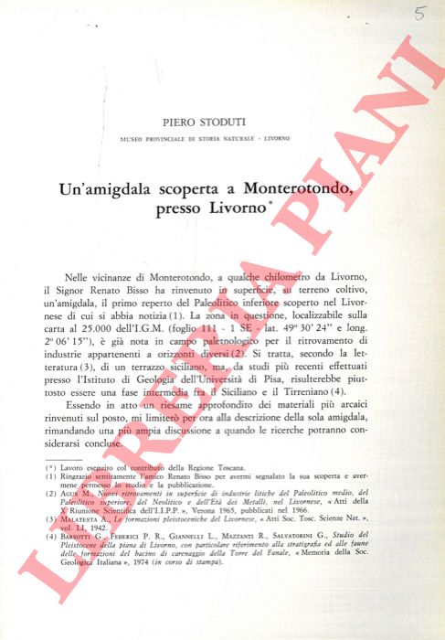 STODUTI Piero - - Un'amgidala scoperta a Monterotondo, presso Livorno.