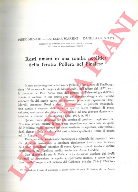 MESSERI Piero - SCARSINI Caterina - CRESTI Daniela - - Resti umani in una tomba neolitica della Grotta Pollera nel Finalese.