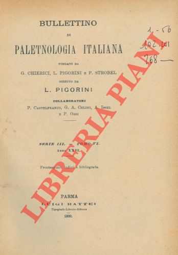 AA.VV. - - Bullettino di paletnologia italiana.