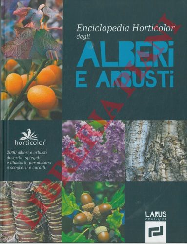 - - Alberi e arbusti.