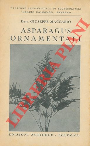 MACCARIO Giuseppe - - Gli asparagus ornamentali. Descrizione delle specie - Coltivazione per la produzione delle fronde e del seme - Parassiti.